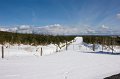 Footprints - Sliabh Beagh April 2010. (2)